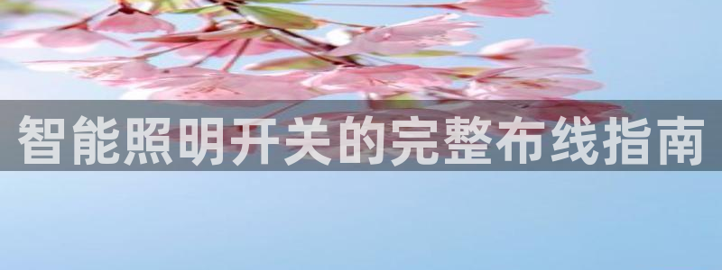 4008浏览器云顶下载