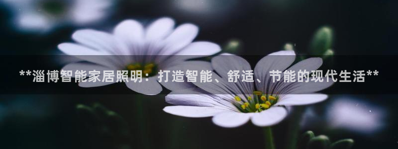 云顶国际晟荣协会荣誉奖项