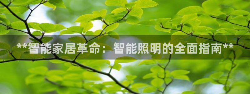 云顶集团网投领