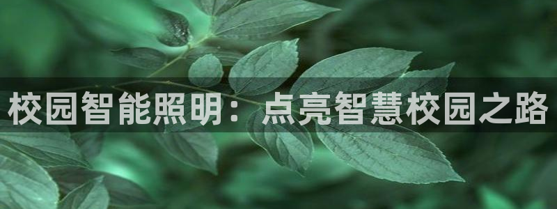 云顶国际装饰设计 宁波