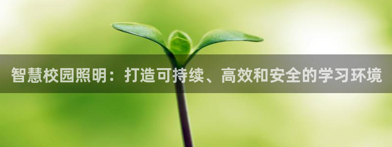 云顶国际游戏平台app