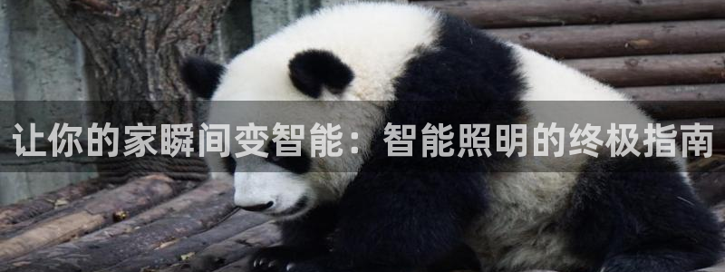 云顶国际官方网站下载手机版