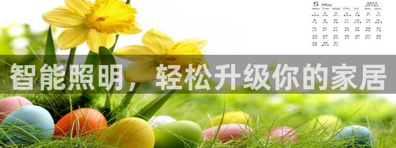 云顶国际服官网