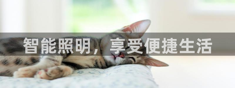 云顶国际电子游戏