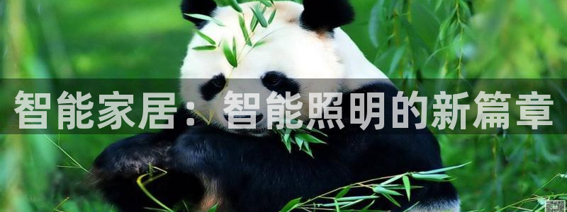 云顶国际电话号码查询