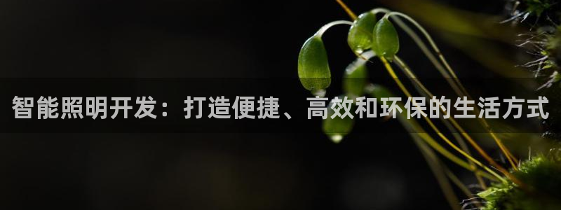 太原云顶国际酒店郝睿