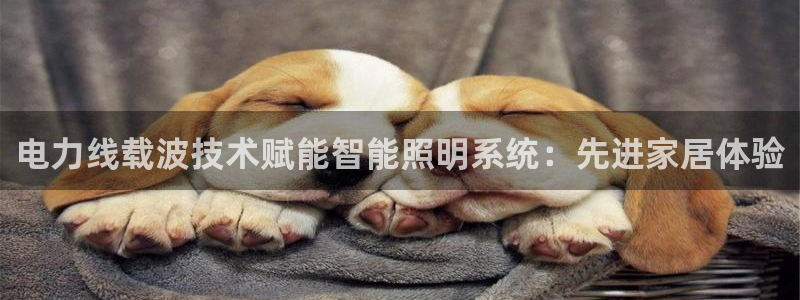 云顶国际培训中心