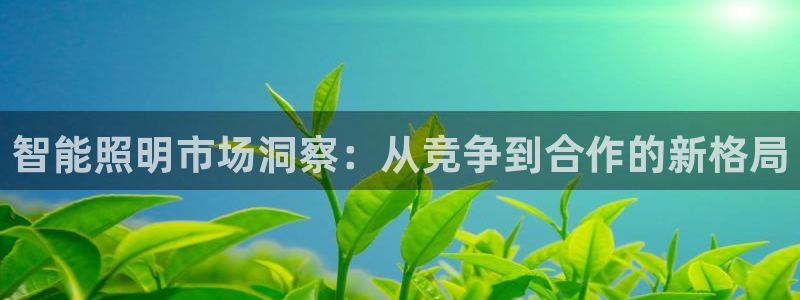 云顶中学国际部