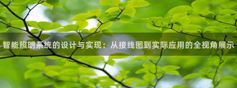 云顶国际邮轮公司