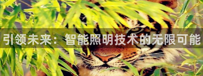 云顶国际下载APP