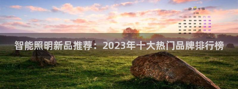 云顶国际app官方网站下载