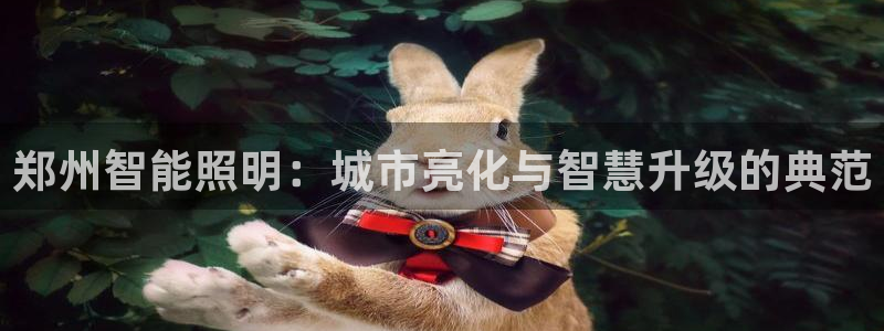 云顶国际物流有限公司
