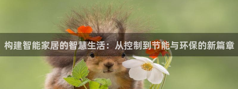 云顶国际游戏