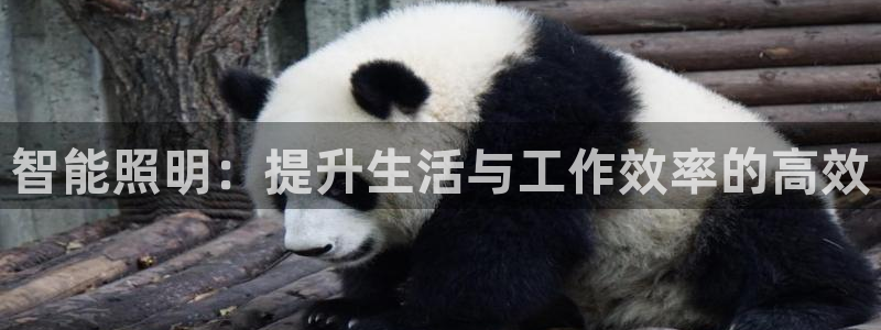 云顶国际游戏平台排行榜：智能照明：提升生