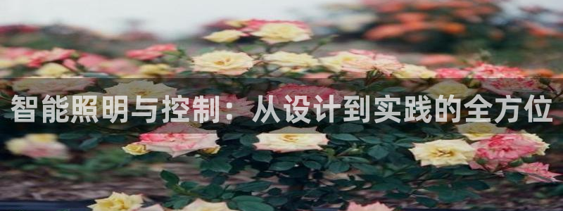云顶国际培训中心学费
