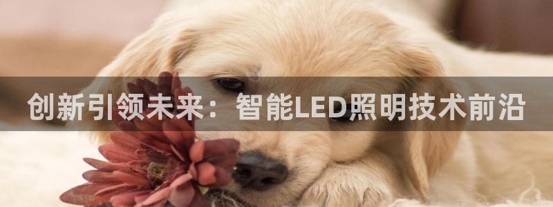 云顶国际创始人是谁