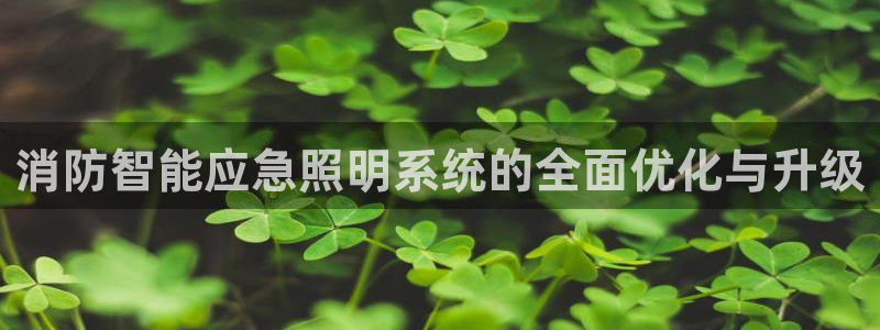 云顶国际服和端游互通吗：消防智能应急照明