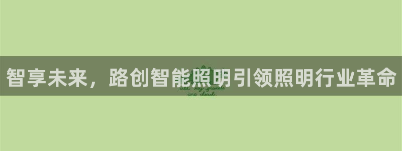 云顶国际KTV商务会所(新华街南段店)简介