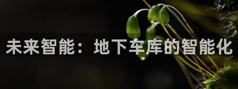 云顶线路快速检测中心