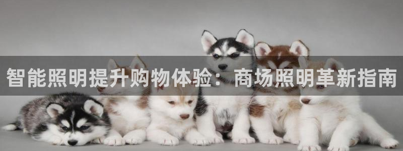 云顶国际服账号交易