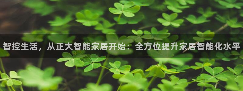 云顶国际黄钊华