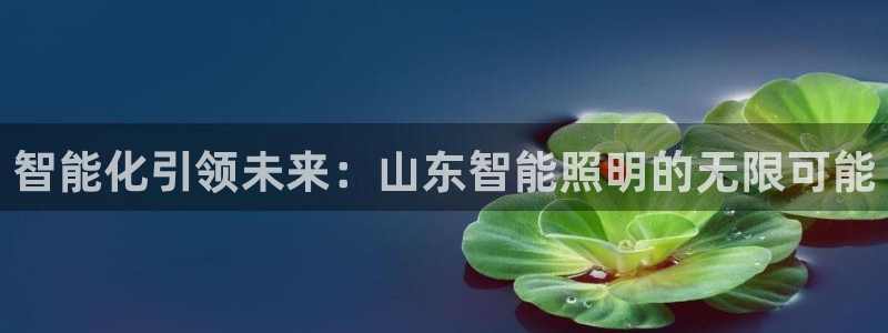 云顶集团在中国上市了吗