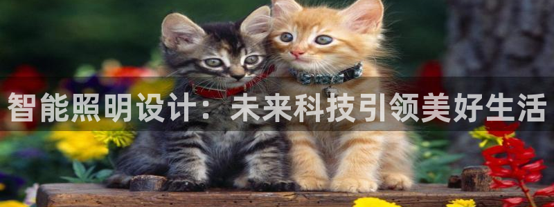 云顶线路检测 官方网站